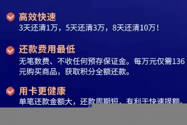 柳林柳林的要账公司在催收过程中的策略和技巧有哪些？